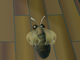 Juega gratis a Tiger Moth